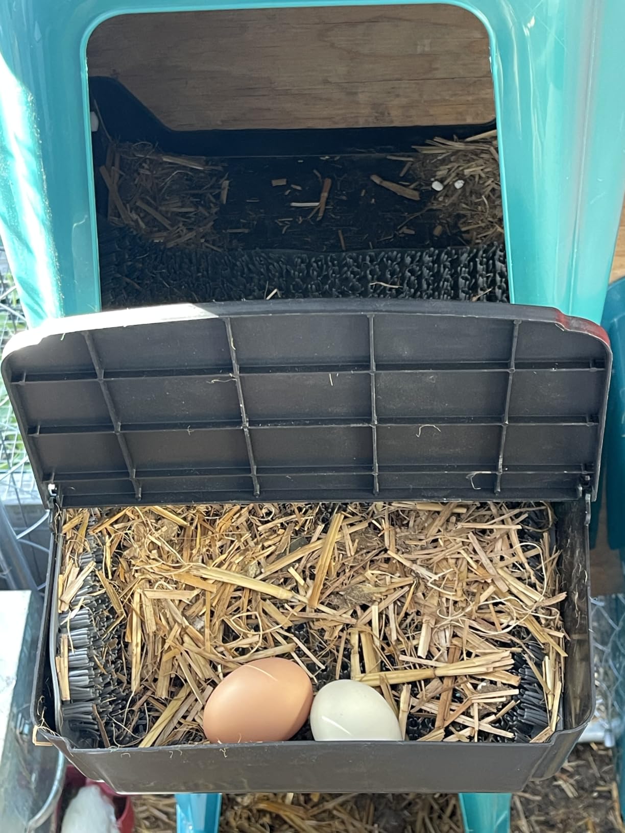 10‑Pack Chicken Nesting Boxes, Roll‑Out Egg Collection Chicken Laying Boxes, Large Waterproof Durable Nest Boxes Easy to Install for Chicken Coop customer photo 1