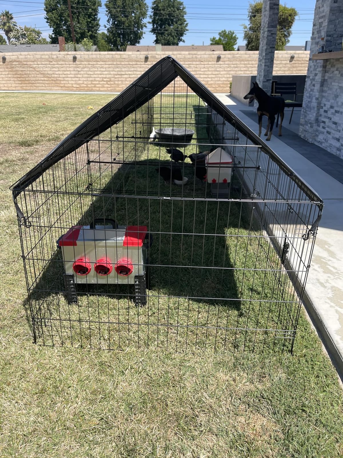 Chicken Coop, 21ft x 3.5ft Chicken Run Pen with Cover for Yard customer photo 2