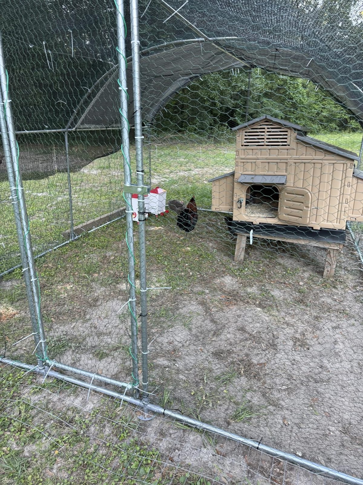 NUGRIART Large Metal Chicken Coop, Outdoor cage Run with Waterproof and Anti-UV Cover, Dome Roof Walk-in Poultry Cage Rabbit Duck House for Outside, Backyard and Farm. customer photo 1