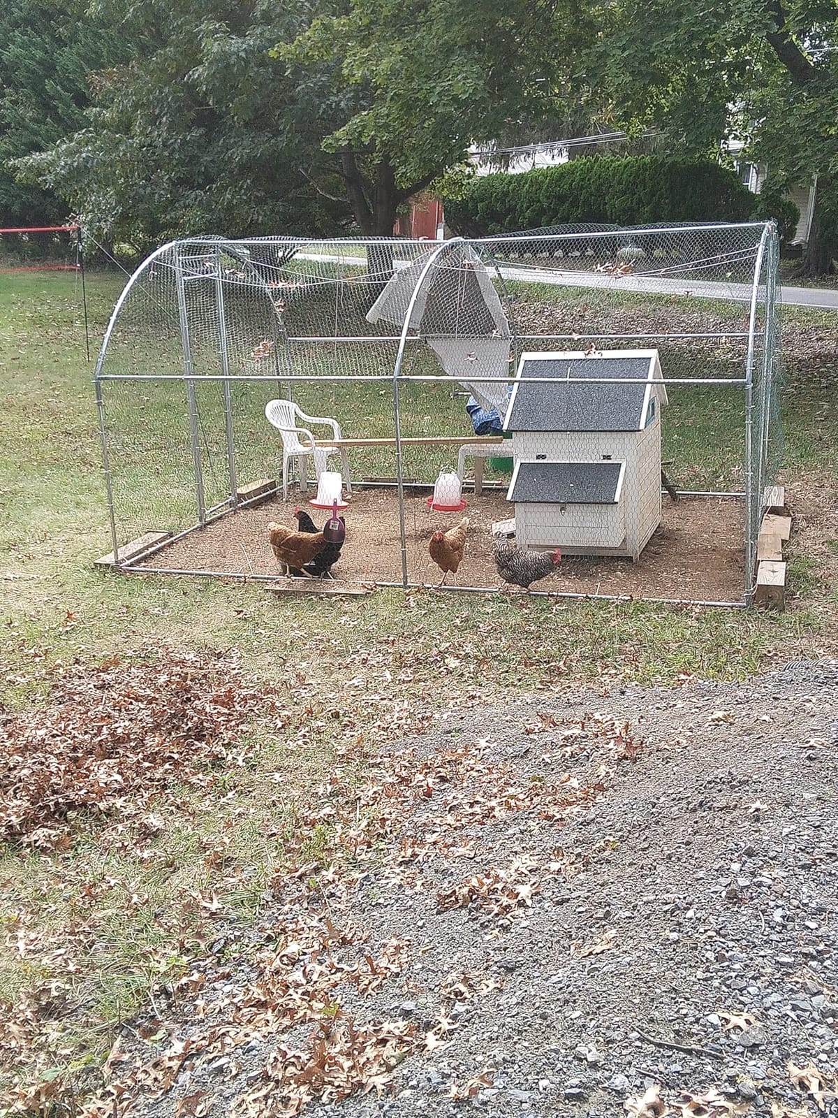 NUGRIART Large Metal Chicken Coop, Outdoor cage Run with Waterproof and Anti-UV Cover, Dome Roof Walk-in Poultry Cage Rabbit Duck House for Outside, Backyard and Farm. customer photo 2