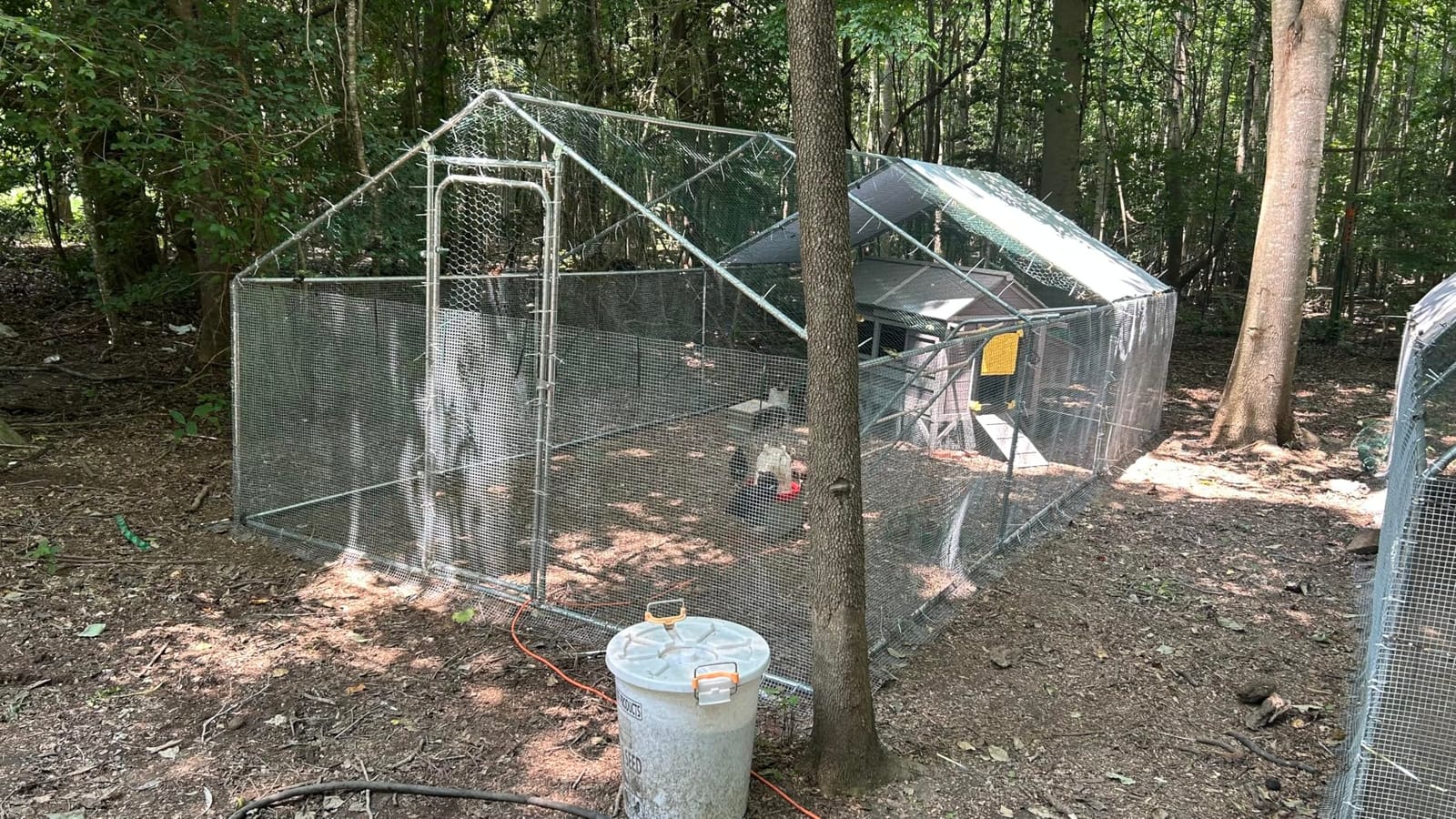 Aivituvin Chicken Coop 67.3