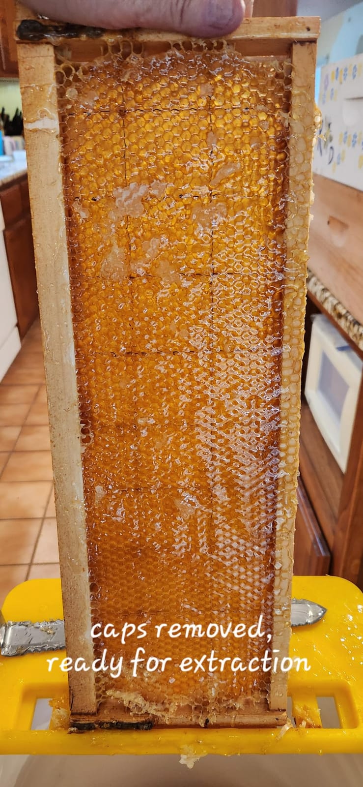 VEVOR Honey Extractor, 2 Frame Manual Honey Extractor with Transparent Lid, Stainless Steel Honeycomb Drum Spinner with Height Adjustable Stand,Honeycomb Extraction Centrifuge Equipment for Beekeeping customer photo 2