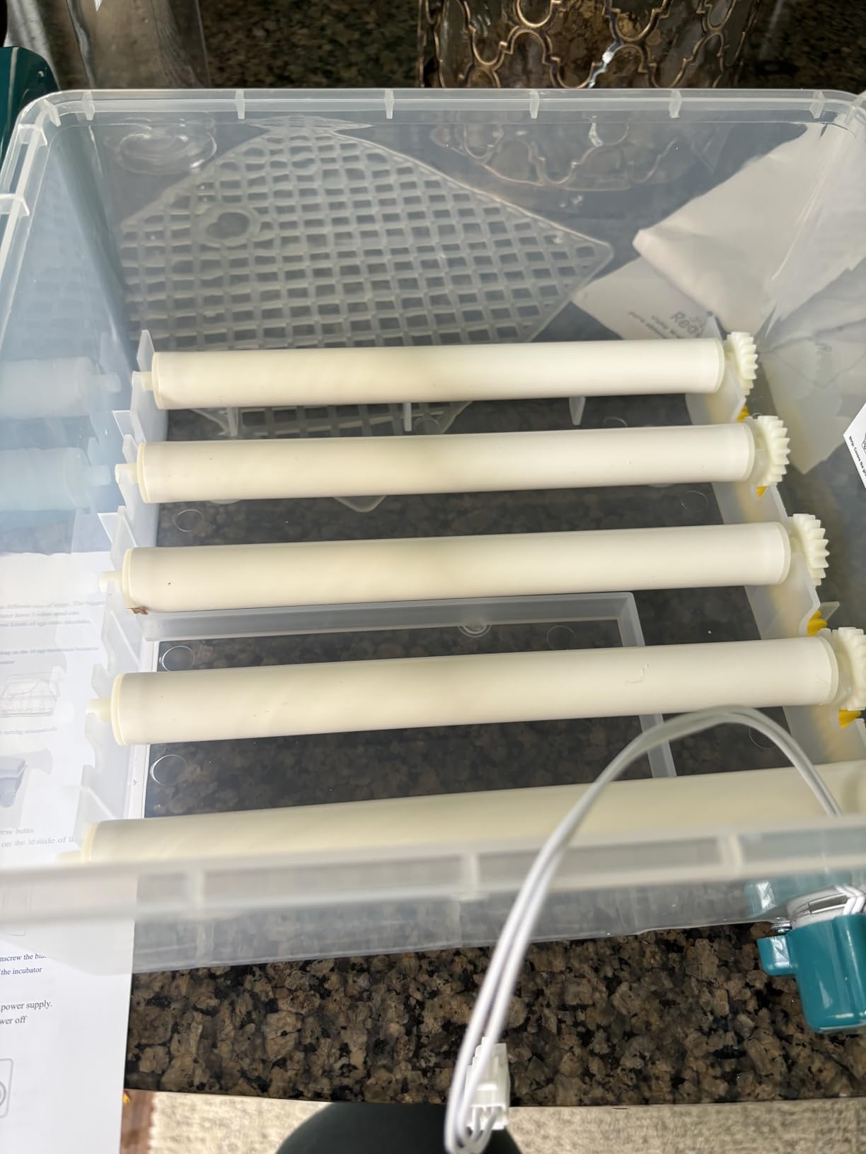 CoInceptus 16 Eggs Incubators for Hatching Eggs, Egg Incubator with Automatic Egg Turning and Temperature Control, Chicken Egg Incubators with Egg Candler for Duck Goose Pigeon Quail customer photo 1
