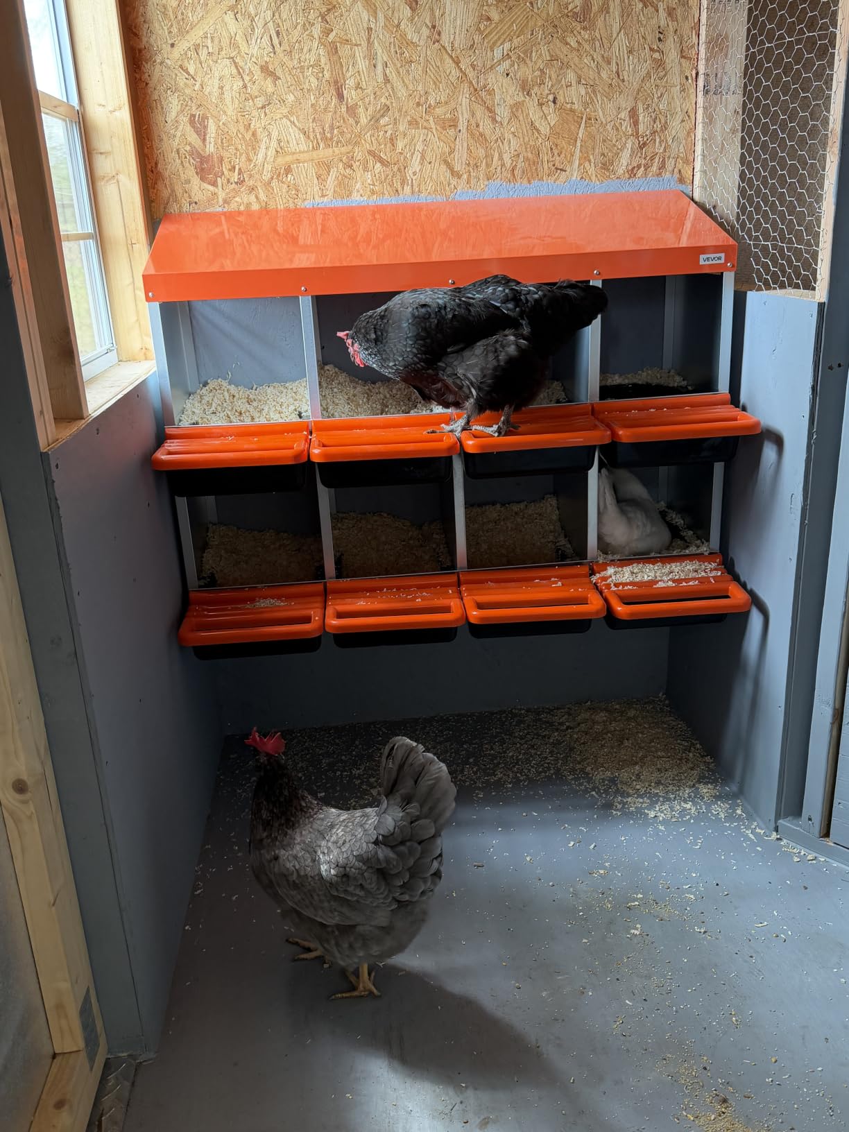 VEVOR Chicken Nesting Boxes, 2 Compartments, Easy Egg Collection, Wall Mount, Easy to Assemble, Galvanized Steel and High-Strength Plastic, Roll Away Nesting Boxes for Chickens Laying Eggs, Orange customer photo 1