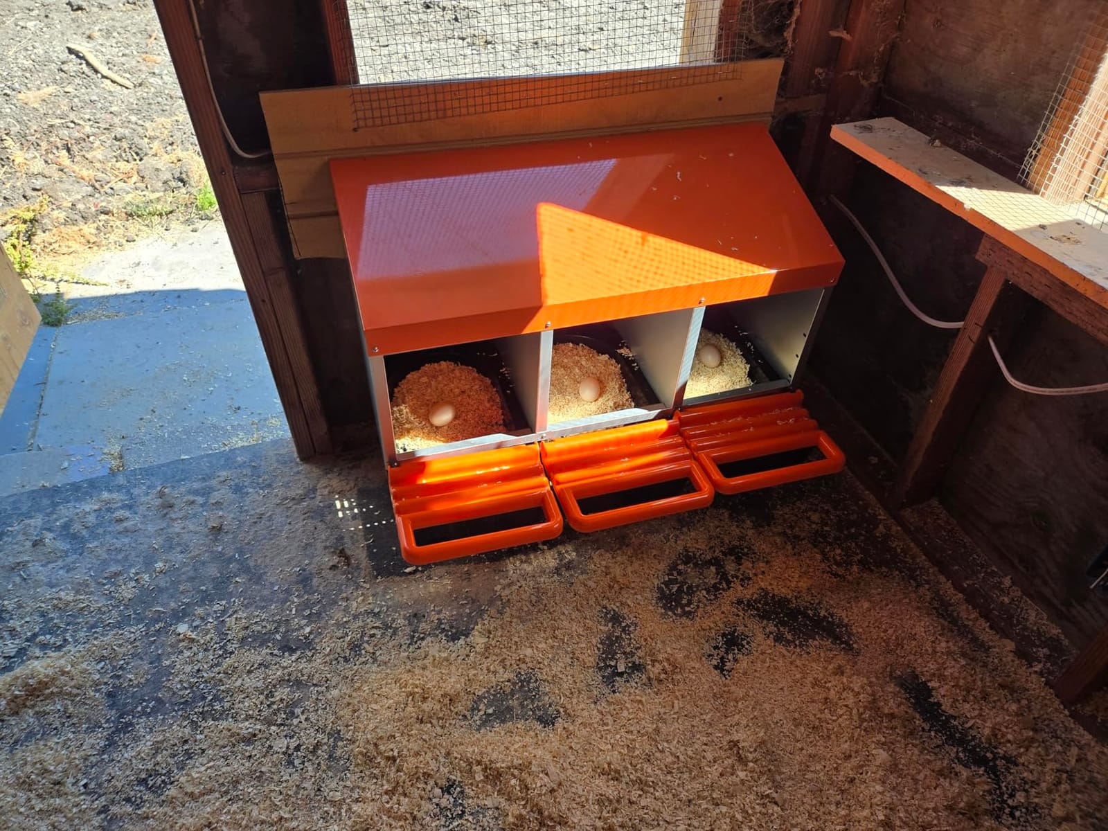 ZenxyHoC Two-Tier Chicken Nesting Box Red 6 Compartments customer photo 2