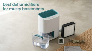best dehumidifiers for musty basements